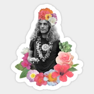 Robert Collage Sticker